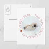 Pekingese Puppy Eerste Kerstmis Feestdagenkaart (Voorkant / Achterkant)