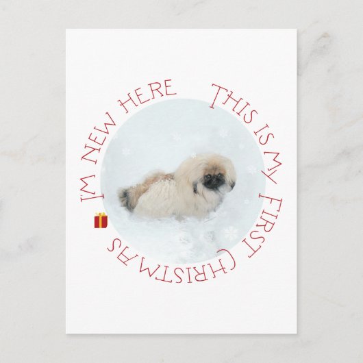 Pekingese Puppy Eerste Kerstmis Feestdagenkaart (Voorkant)