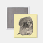Pekingese Puppy Geel Magneet (Voorkant / Achterkant)