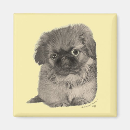 Pekingese Puppy Geel Magneet (Voorkant)