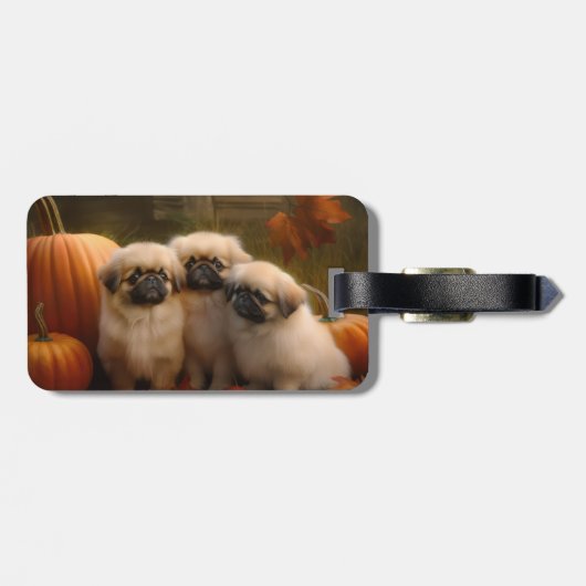Pekingese Puppy Herfst Verrukking Pompoen Bagagelabel (Achterkant horizontaal)