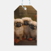 Pekingese Puppy Herfst Verrukking Pompoen Cadeaulabel (Achterkant)
