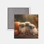 Pekingese Puppy Herfst Verrukking Pompoen Magneet (Voorkant / Achterkant)