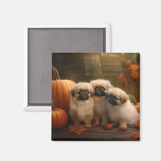 Pekingese Puppy Herfst Verrukking Pompoen Magneet (Voorkant / Achterkant)