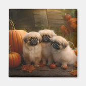 Pekingese Puppy Herfst Verrukking Pompoen Magneet (Voorkant)