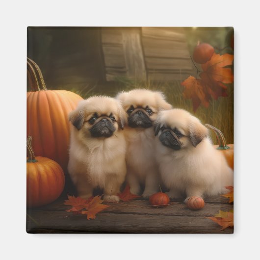 Pekingese Puppy Herfst Verrukking Pompoen Magneet (Voorkant)