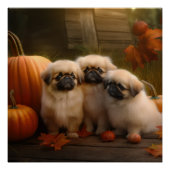 Pekingese Puppy Herfst Verrukking Pompoen Perfect Poster (Voorkant)