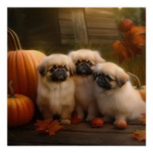 Pekingese Puppy Herfst Verrukking Pompoen Perfect Poster