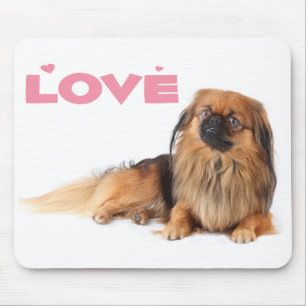 Pekingese Puppy Hond Muismatje Muismat
