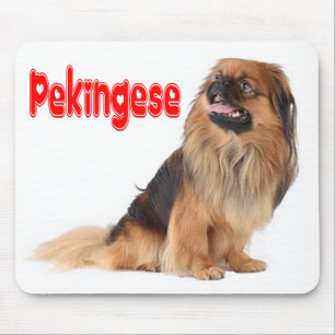 Pekingese Puppy Hond Muismatje Muismat