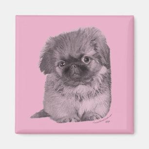 Pekingese Puppy in Roze Magneet