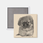 Pekingese Puppy Magneet (Voorkant / Achterkant)