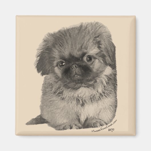 Pekingese Puppy Magneet (Voorkant)
