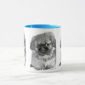 Pekingese Puppy Mok (Midden)