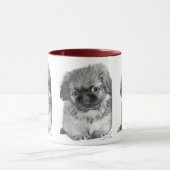 Pekingese Puppy Mok (Midden)