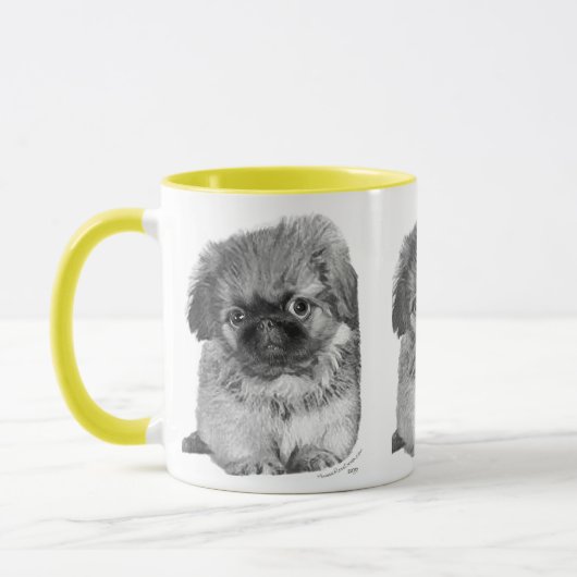 Pekingese Puppy Mok (Links)