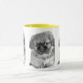 Pekingese Puppy Mok (Midden)