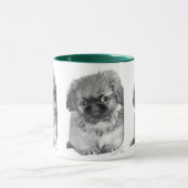 Pekingese Puppy Mok (Midden)