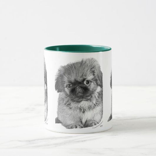Pekingese Puppy Mok (Midden)