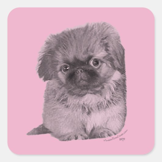 Pekingese Puppy op Roze Vierkante Sticker (Voorkant)