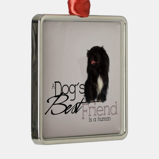 Pekingese Puppy Ornament (Rechts)