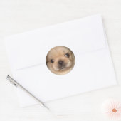 pekingese puppy sticker (Envelop)