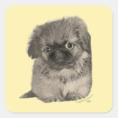 Pekingese Puppy Yellow Vierkante Sticker (Voorkant)