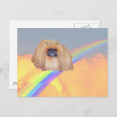 Pekingese regenboog briefkaart (Voorkant / Achterkant)