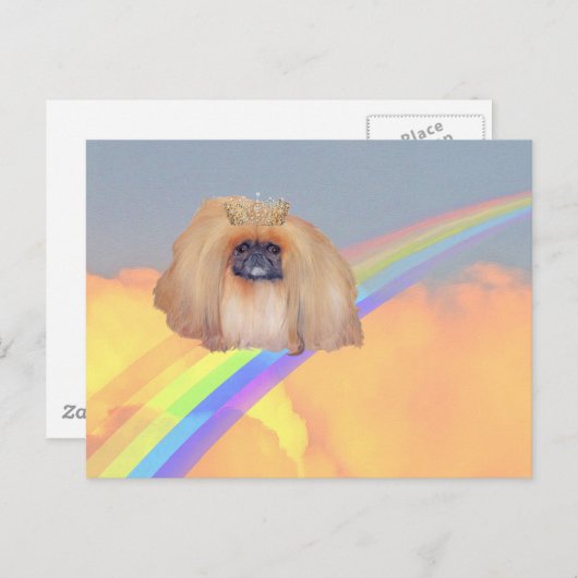 Pekingese regenboog briefkaart (Voorkant / Achterkant)