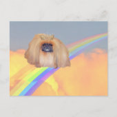 Pekingese regenboog briefkaart (Voorkant)