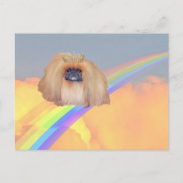 Pekingese regenboog briefkaart