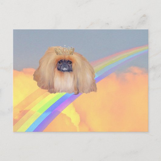 Pekingese regenboog briefkaart (Voorkant)