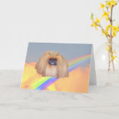 Pekingese regenboog kaart (Gele Bloem)