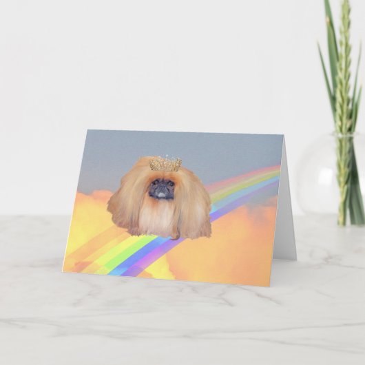 Pekingese regenboog kaart (Voorkant)