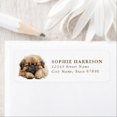 Pekingese Return Address Labels (Insitu)