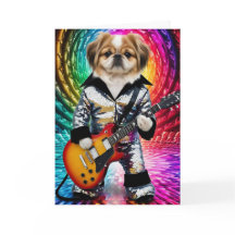 Pekingese rockster
