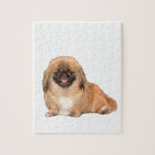 Pekingese (rood, zwart masker #1) legpuzzel
