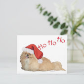 Pekingese Santa Claus Feestdagenkaart (Staand voorkant)