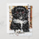 Pekingese schattige hond briefkaart (Voorkant / Achterkant)