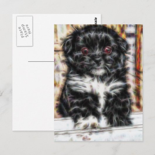 Pekingese schattige hond briefkaart (Voorkant / Achterkant)