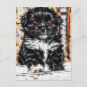Pekingese schattige hond briefkaart