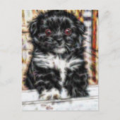 Pekingese schattige hond briefkaart (Voorkant)