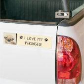 Pekingese schildering - Kute Original Dog Art Bumpersticker (Op Truck)