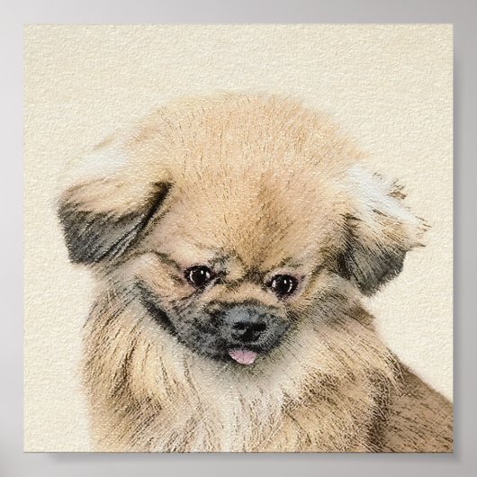 Pekingese schildering - Kute Original Dog Art Poster (Voorkant)