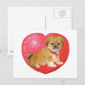 Pekingese / Shih Tzu Mix Valentijnsdag Feestdagenkaart (Voorkant / Achterkant)