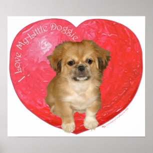 Pekingese/Shih Tzu Valentijnsdag Poster