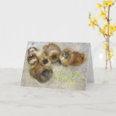 Pekingese Snel-Beter Kaart (Gele Bloem)