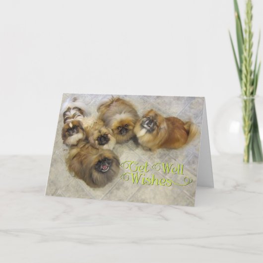 Pekingese Snel-Beter Kaart (Voorkant)