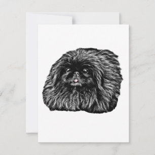 Pekingese Stationery - blanco kaart "Fuzz" Notitiekaartje
