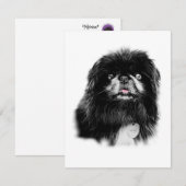 Pekingese Stationery - blanco kaart "Mork" Notitiekaartje (Voorkant / Achterkant)